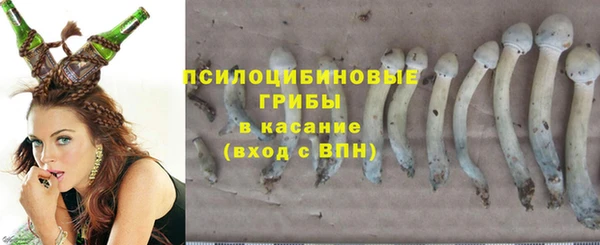 соль ск Зерноград