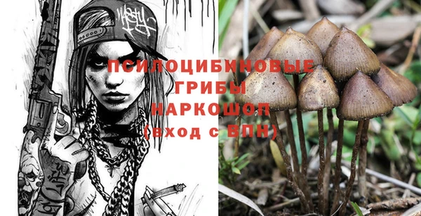 сатива Зеленодольск
