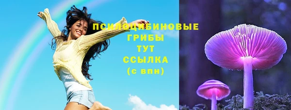эйфоретик Заволжье