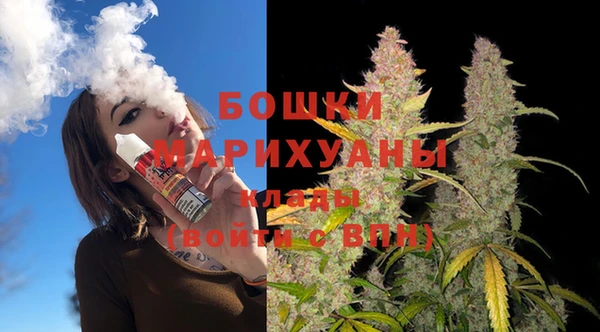 сатива Зеленодольск