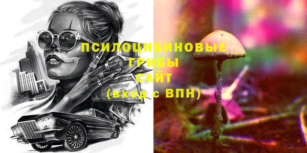 СК Зеленокумск