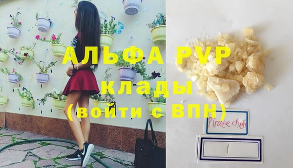 СК Зеленокумск